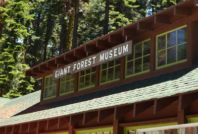 Giant Forest, Giant Forest Museum and Sentinel
