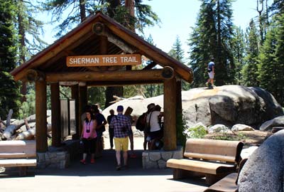 General Sherman Tree and Trail