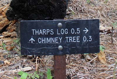 Tharps Log